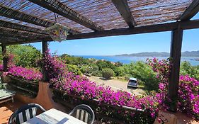 La Terrazza Sul Mare - Panoramic Cottage Overlooking Sea And Caprera Island In A Quiet Residential Area - 150 Mt From The Sea